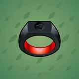 Signet Ring #712 Signet Ring #712