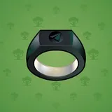 Signet Ring #7434 Signet Ring #7434