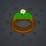 Signet Ring #7788 Signet Ring #7788