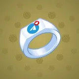 Signet Ring #8325 Signet Ring #8325