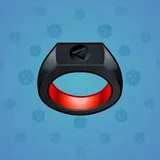 Signet Ring #8353