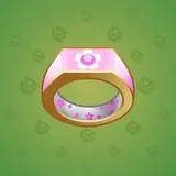 Signet Ring #8362 Signet Ring #8362