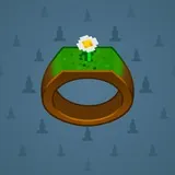 Signet Ring #890 Signet Ring #890