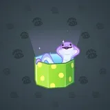 Snake Box #1667