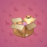 Snake Box #1840