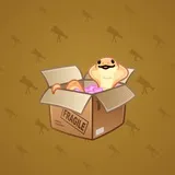 Snake Box #2171