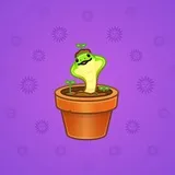 Snake Box #2178