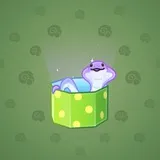 Snake Box #2374