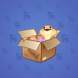 Snake Box #2644 Snake Box #2644