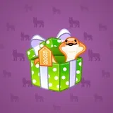Snake Box #3176