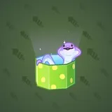Snake Box #3244