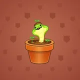 Snake Box #3670