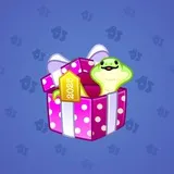 Snake Box #4059