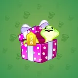 Snake Box #4797