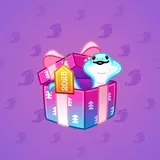 Snake Box #504 Snake Box #504