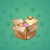 Snake Box #5224