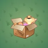 Snake Box #5654