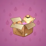 Snake Box #6230 Snake Box #6230