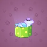 Snake Box #6341