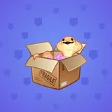 Snake Box #6438 Snake Box #6438