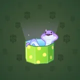 Snake Box #645 Snake Box #645