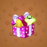 Snake Box #6906