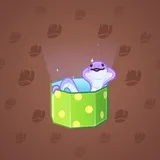 Snake Box #7903