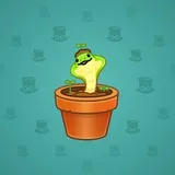 Snake Box #8151