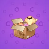 Snake Box #8293 Snake Box #8293