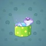 Snake Box #8389