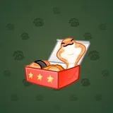 Snake Box #8753 Snake Box #8753