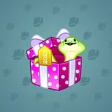 Snake Box #8789 Snake Box #8789