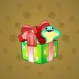 Snake Box #9438