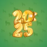 Big Year #12976 Big Year #12976