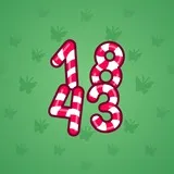 Big Year #17728 Big Year #17728