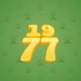 Big Year #20394 Big Year #20394