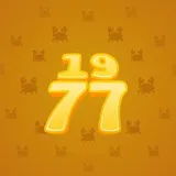 Big Year #23137 Big Year #23137