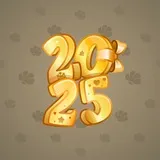 Big Year #27297 Big Year #27297