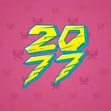Big Year #28455 Big Year #28455