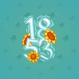 Big Year #43079 Big Year #43079