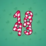 Big Year #48242 Big Year #48242