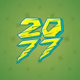 Big Year #855 Big Year #855